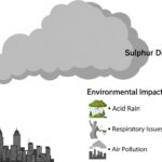 sulphur to sulphur dioxide